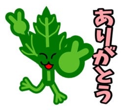 Fresh coriander sticker #5236620