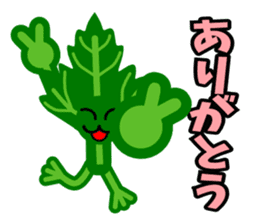 Fresh coriander sticker #5236620