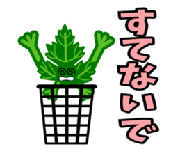 Fresh coriander sticker #5236626