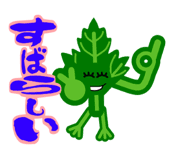 Fresh coriander sticker #5236627