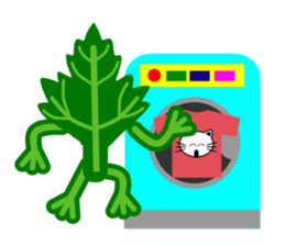 Fresh coriander sticker #5236629