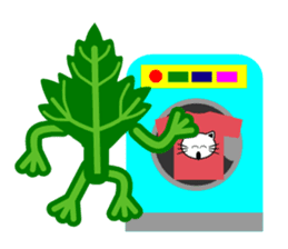 Fresh coriander sticker #5236629