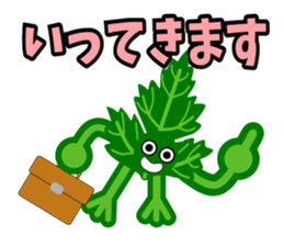 Fresh coriander sticker #5236630