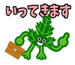 Fresh coriander sticker #5236630