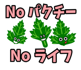 Fresh coriander sticker #5236631
