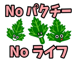 Fresh coriander sticker #5236631