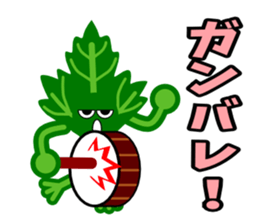 Fresh coriander sticker #5236632