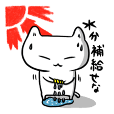 The summer cat sticker #5242262