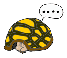 The cute tortoise sticker #5244146