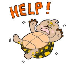 The cute tortoise sticker #5244152
