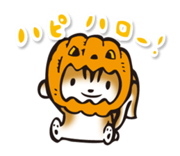 Collis sticker #5244693