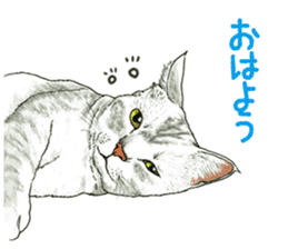 the fluffy cats sticker #5244740