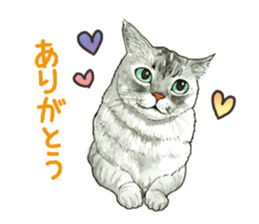 the fluffy cats sticker #5244743