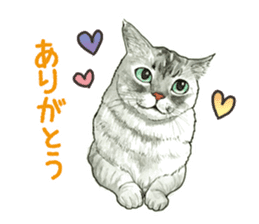 the fluffy cats sticker #5244743