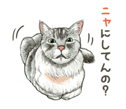 the fluffy cats sticker #5244746