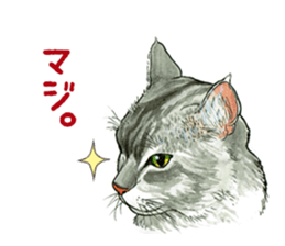 the fluffy cats sticker #5244749