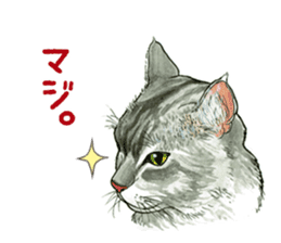 the fluffy cats sticker #5244749