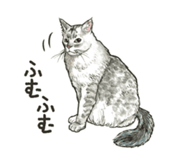 the fluffy cats sticker #5244751