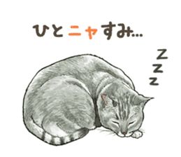 the fluffy cats sticker #5244752