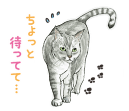 the fluffy cats sticker #5244754