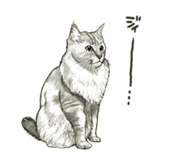 the fluffy cats sticker #5244757