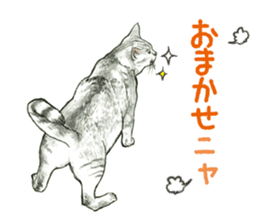 the fluffy cats sticker #5244758