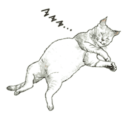 the fluffy cats sticker #5244760