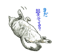 the fluffy cats sticker #5244761