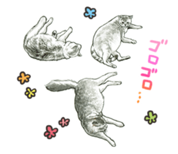 the fluffy cats sticker #5244765