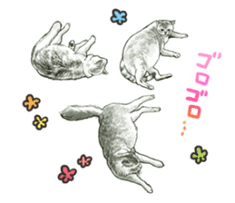 the fluffy cats sticker #5244765