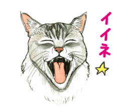 the fluffy cats sticker #5244769