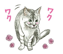 the fluffy cats sticker #5244771