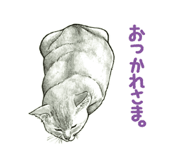 the fluffy cats sticker #5244773