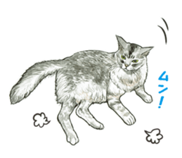 the fluffy cats sticker #5244776