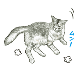 the fluffy cats sticker #5244776
