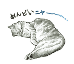 the fluffy cats sticker #5244777
