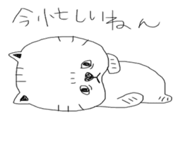 busakawa cat sticker #5244999