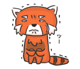 Ailurus fulgens is Life 2 sticker #5245990