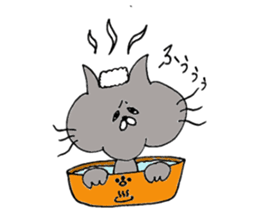 cat momo-chan sticker #5246341