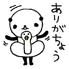 Every day of a panda- Fee and apology -