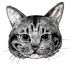 Chacha and pleasant friends