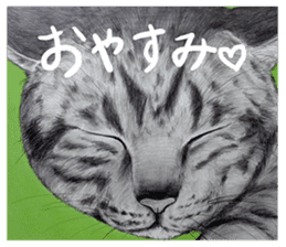 Chacha and pleasant friends sticker #5246820