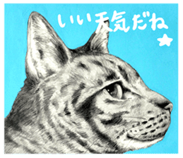 Chacha and pleasant friends sticker #5246822