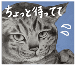 Chacha and pleasant friends sticker #5246828