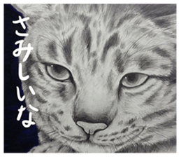 Chacha and pleasant friends sticker #5246833