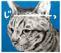 Chacha and pleasant friends sticker #5246839