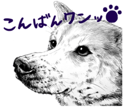 Chacha and pleasant friends sticker #5246846