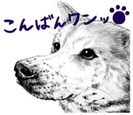 Chacha and pleasant friends sticker #5246846