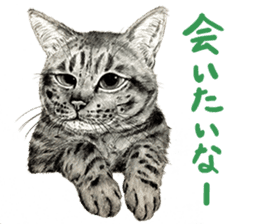 Chacha and pleasant friends sticker #5246848