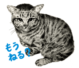 Chacha and pleasant friends sticker #5246849